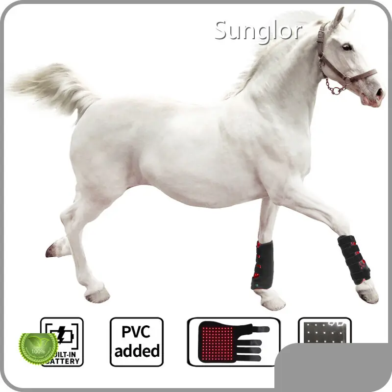 Red Light Therapy Pets with Custom Services Fast DeliverySG-HS-FT 1