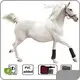 Red Light Therapy Pets with Custom Services Fast DeliverySG-HS-FT 1