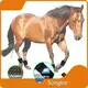 Worldwide Red Light Therapy for Dogs with Arthritis Red Light Therapy for Dogs with Arthritis Company 1