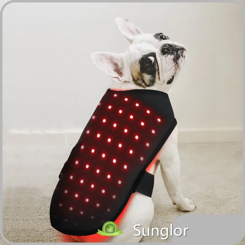 Latest Infrared Horse Therapy Price List 1
