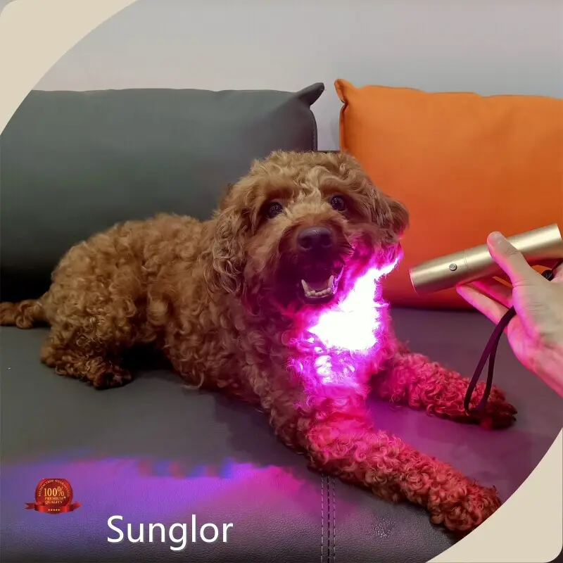 Sunglor Best Red Light Therapy for Dogs SG-TRH-N Best Red Light Therapy for Dogswith Good Price 1