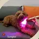 Sunglor Best Red Light Therapy for Dogs SG-TRH-N Best Red Light Therapy for Dogswith Good Price 1