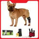For House Infrared Horse Therapy SG-WP-HD by Sunglor 1