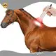 Red Light Therapy Cats Company at SaleSG-TRH-N 1