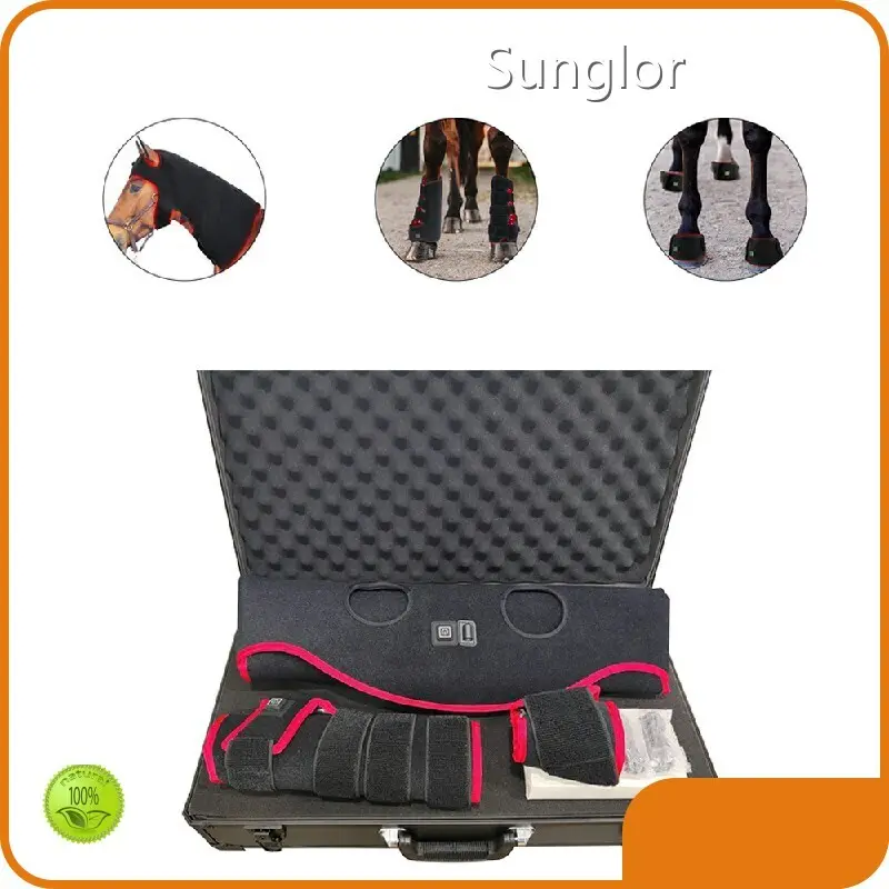 Red Light Therapy for Horses Bulk Production 1manufacturing 1
