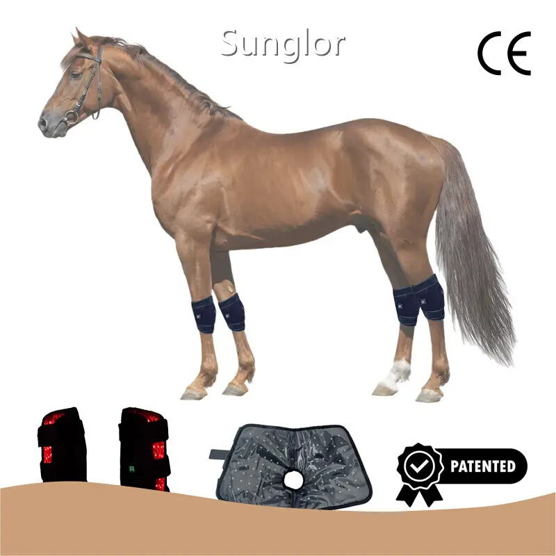 Red Laser Therapy for Dogs 3-7 Working Days Wholesale - Sunglor 1