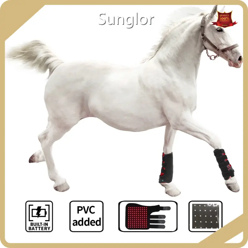 Customized Infrared Light Therapy for Cats Company for Horses 1