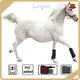 Customized Infrared Light Therapy for Cats Company for Horses 1