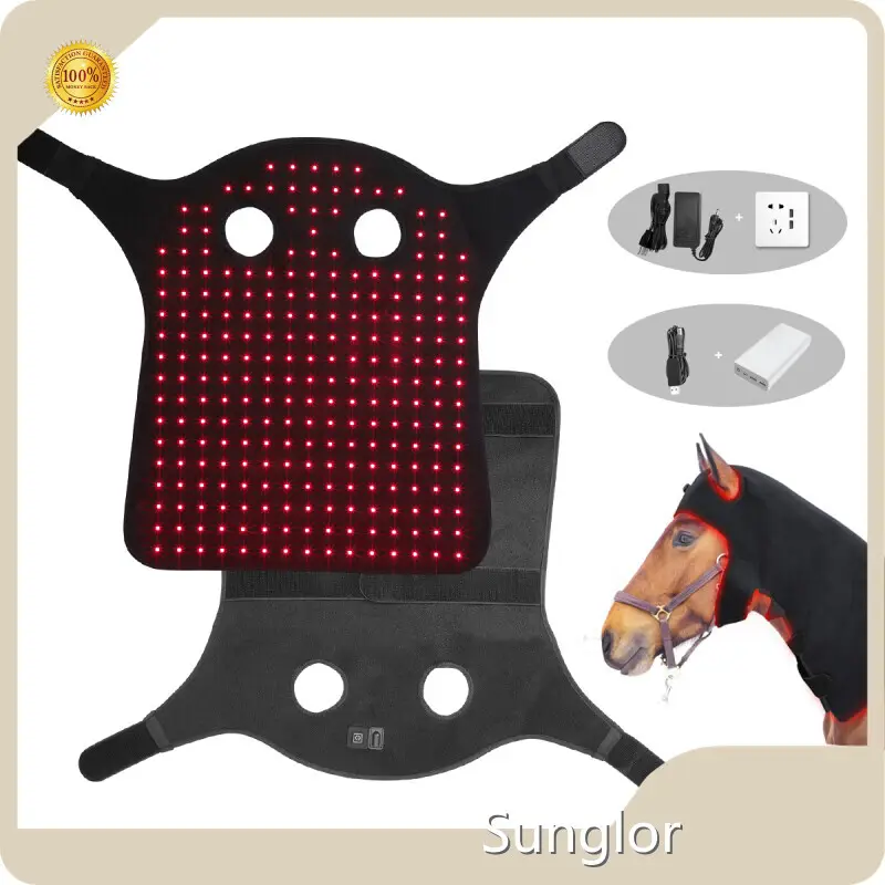 Bulkred Light Therapy Pets at Sale Cardboard 1 1