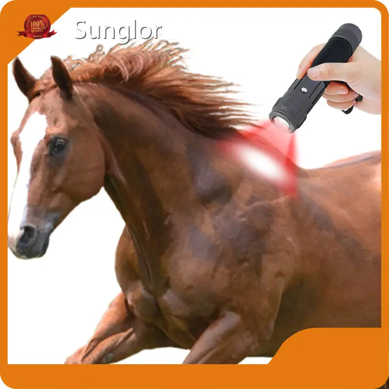 Sunglor Infrared Light Therapy Horses 1with Good Price 1