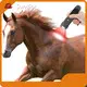 Sunglor Infrared Light Therapy Horses 1with Good Price 1