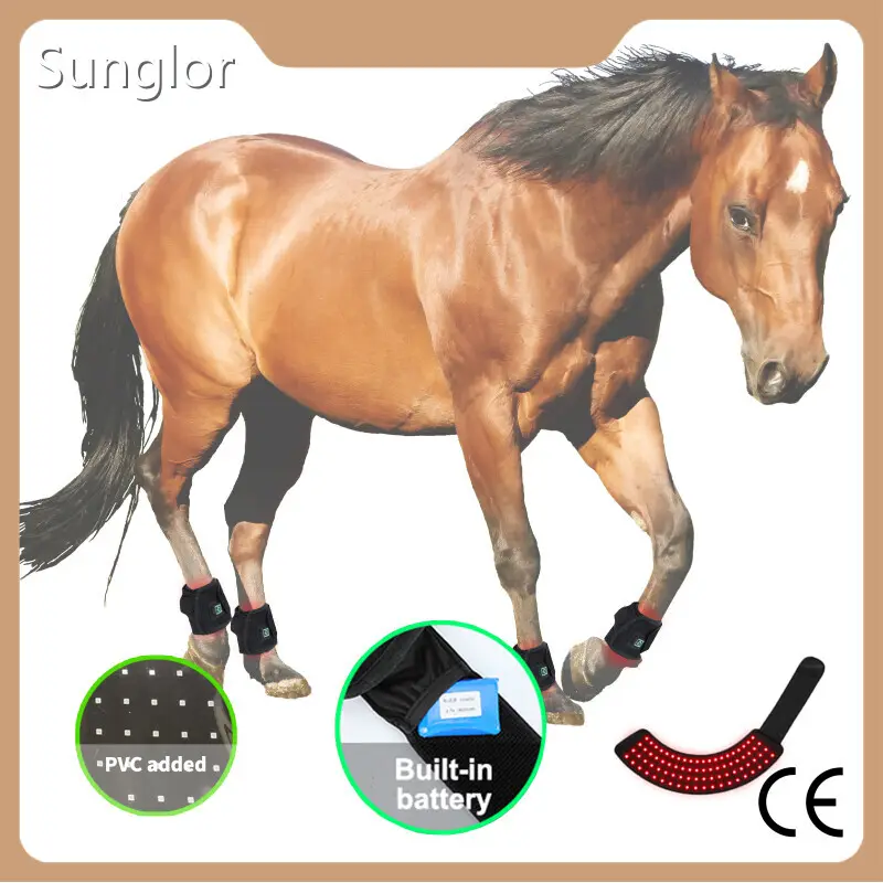 Best Light Therapy Device for Dogs Supplier for Sale3-7 Working Days 1