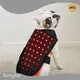 Sunglor Red Light Laser Therapy for Horses SBRfactory 1