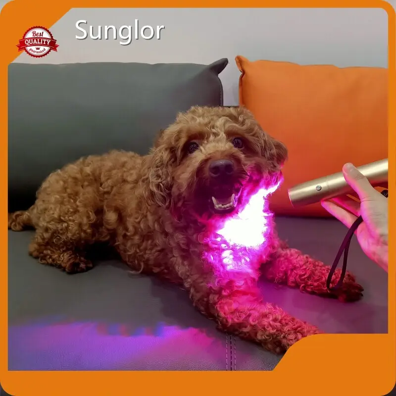 Latestbest Red Light Therapy for Horses for Wholesale 1 Credit Cards 1