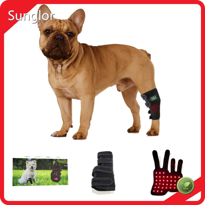 Infrared Light Therapy for Cats SG-WP-HD - for Different Industries - Sunglor 1