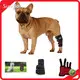 Infrared Light Therapy for Cats SG-WP-HD - for Different Industries - Sunglor 1