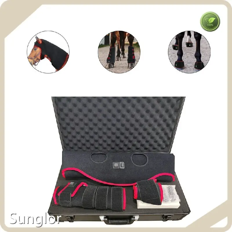 Bulk Buy Red Light Laser Therapy for Horses Cardboard by Sunglor 1