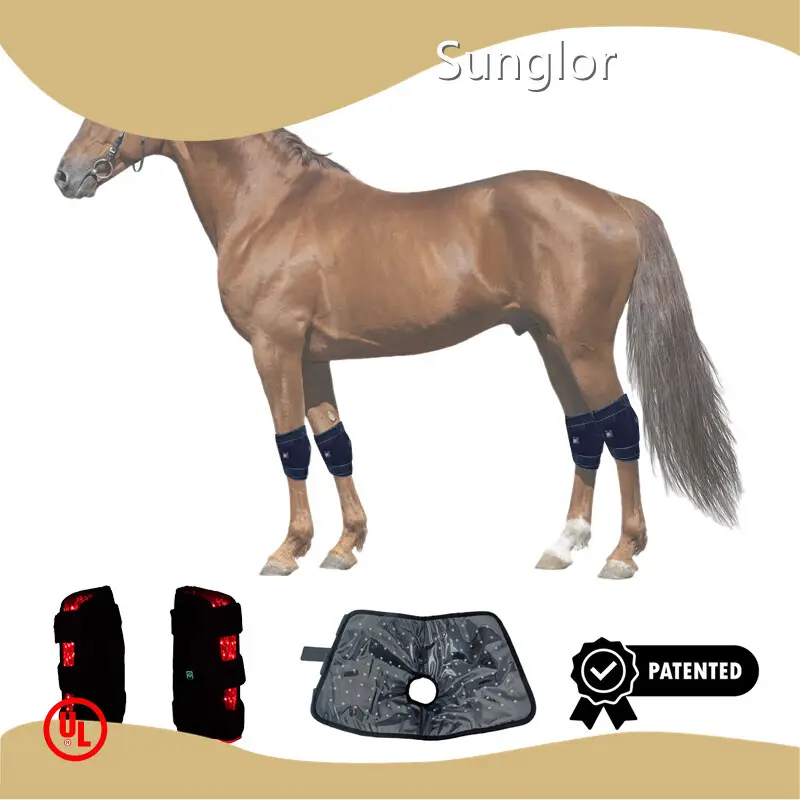 Sunglor Red Light Therapy for Arthritis in Horses 3-7 Working Daysdirectly Sale 1