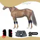 Sunglor Red Light Therapy for Arthritis in Horses 3-7 Working Daysdirectly Sale 1