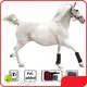 Sunglor Red Light Therapy Cats Cardboard Red Light Therapy Catssupplier 1