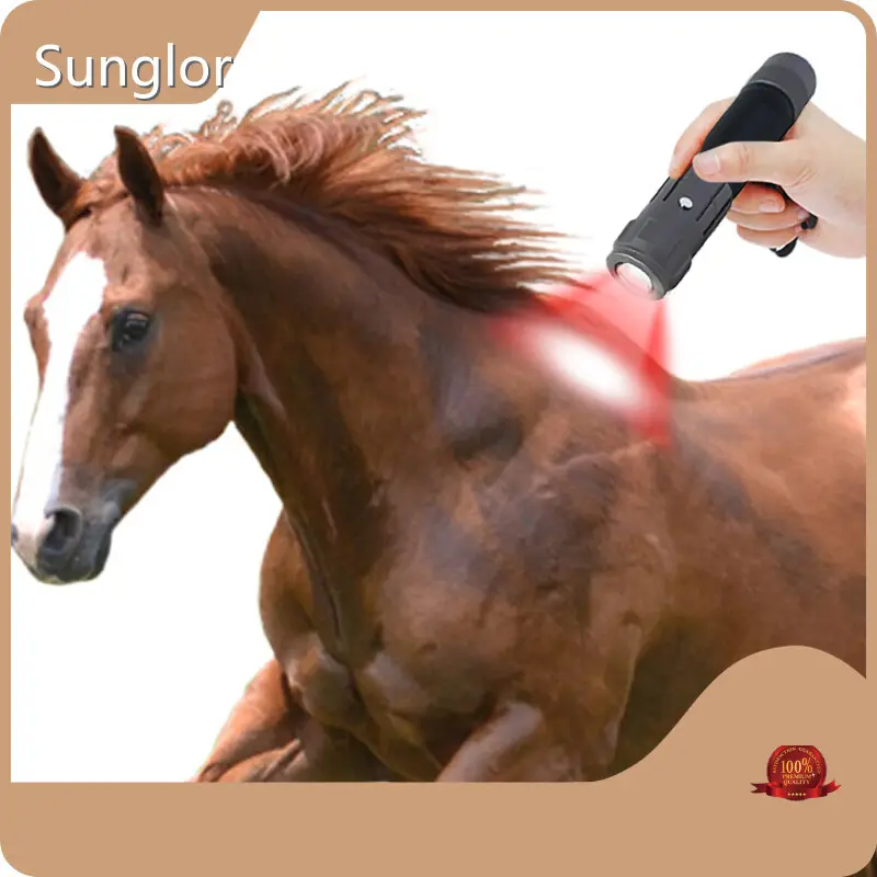 Latest Light Therapy for Horses Company for Horses 1