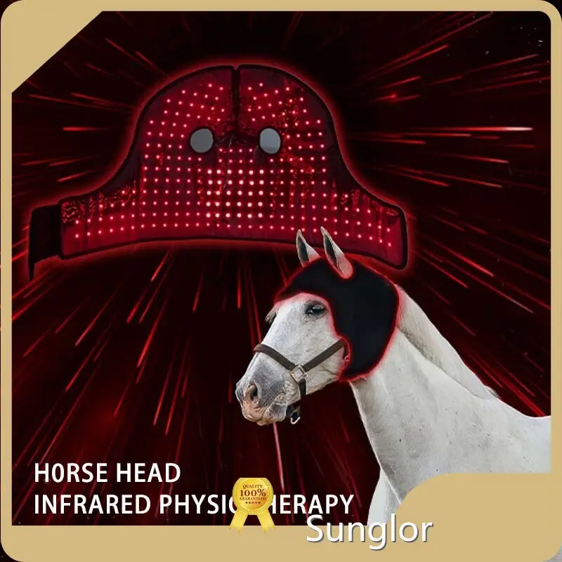 Factory Price Infrared Light Therapy Horses Supplier for Cat 1