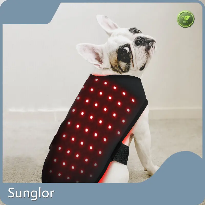 Red Light Therapy for Dogs with Arthritis 280*330*550mm - for House - Sunglor 1