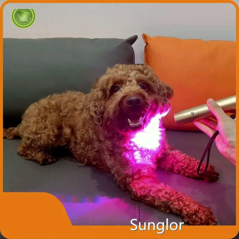 Best Price Infrared Light Therapy for Cats with Custom Services for Wholesale 1