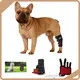 Company Infrared Light Therapy for Cats 3-7 Working Days by Sunglor 1