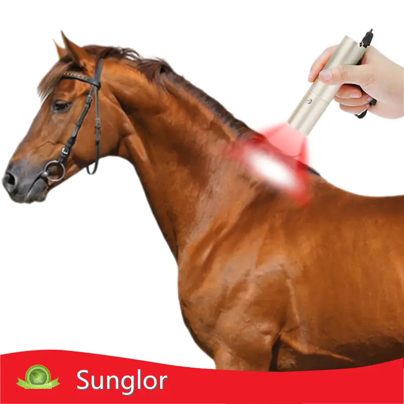 Sunglor Photonic Red Light Therapy for Dogs Gold Photonic Red Light Therapy for Dogshigh safety 1