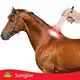 Sunglor Photonic Red Light Therapy for Dogs Gold Photonic Red Light Therapy for Dogshigh safety 1