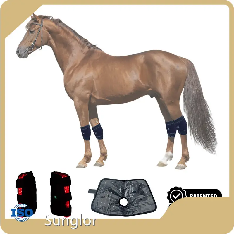 Professional Red Light Therapy Equine Red Light Therapy Equine Company 1