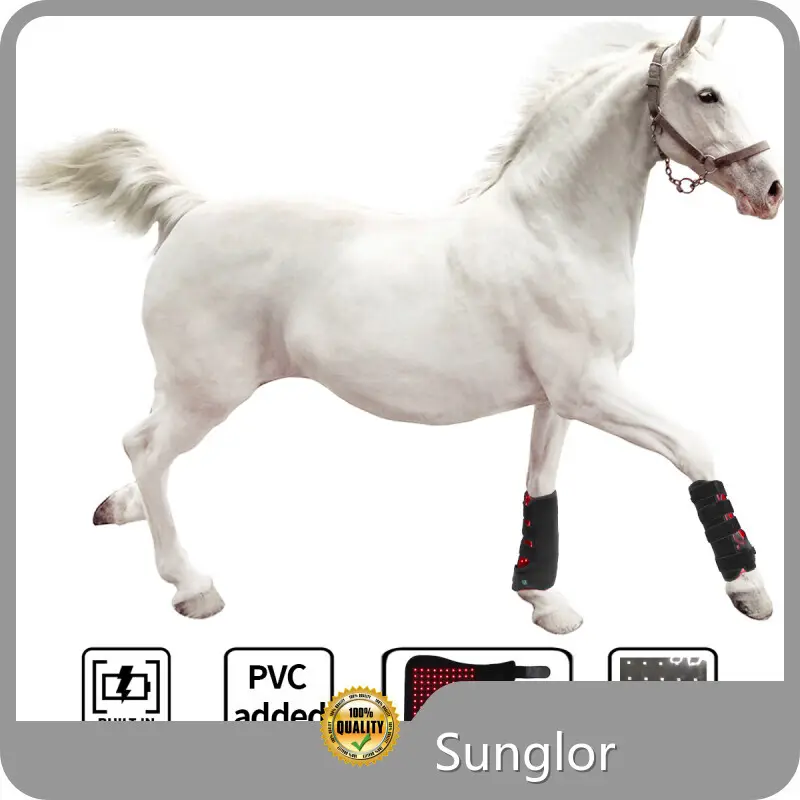 Comfortabledog Red Light Therapy Fast Delivery SBR 3-7 Working Days 1