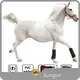Comfortabledog Red Light Therapy Fast Delivery SBR 3-7 Working Days 1