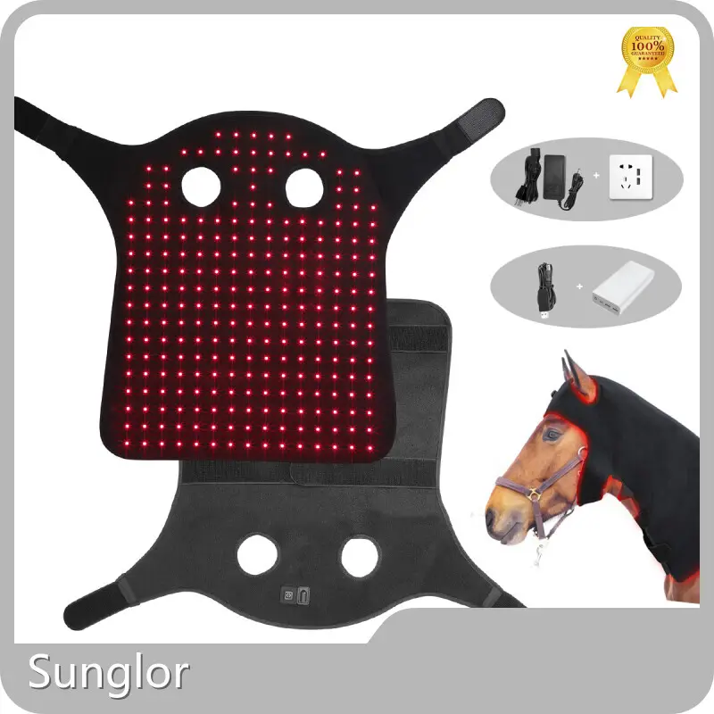 Red Light Therapy on Horses SG-WP-HS Blackseries 1