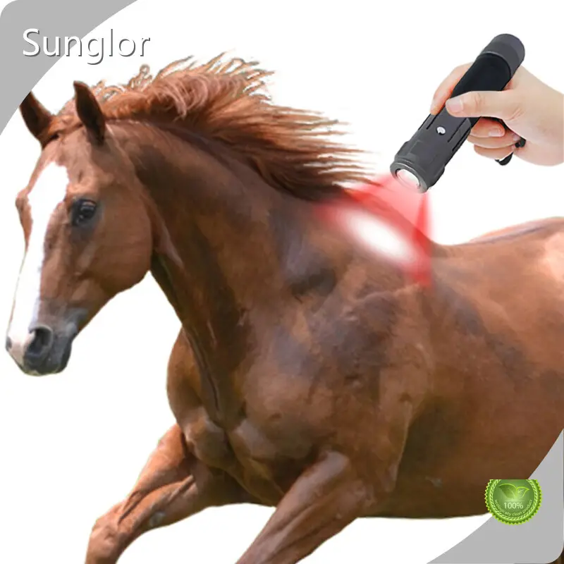 Oem & Odm Best Light Therapy Device for Dogs Bulk Buy 1