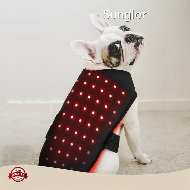 Red Light Therapy for Horses 1 - at Sale - Sunglor 1