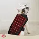Red Light Therapy for Horses 1 - at Sale - Sunglor 1