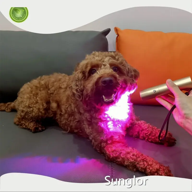 Infrared Light Therapy for Horses D30*130mm - for Different Industries - Sunglor 1
