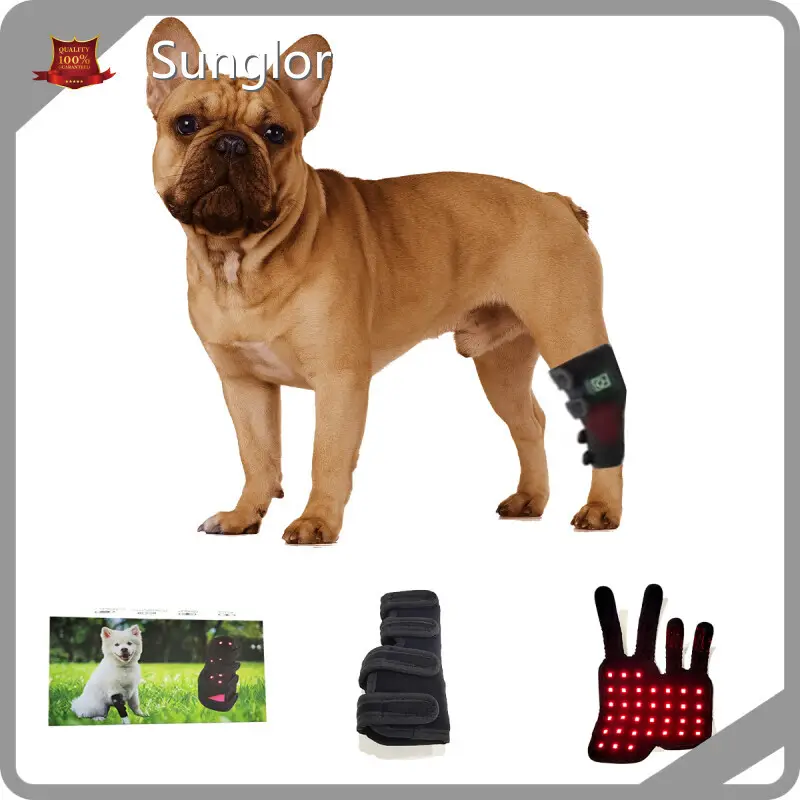 Sunglor Horse Red Light Therapy T/T Horse Red Light Therapyfactory 1