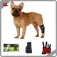Sunglor Horse Red Light Therapy T/T Horse Red Light Therapyfactory 1