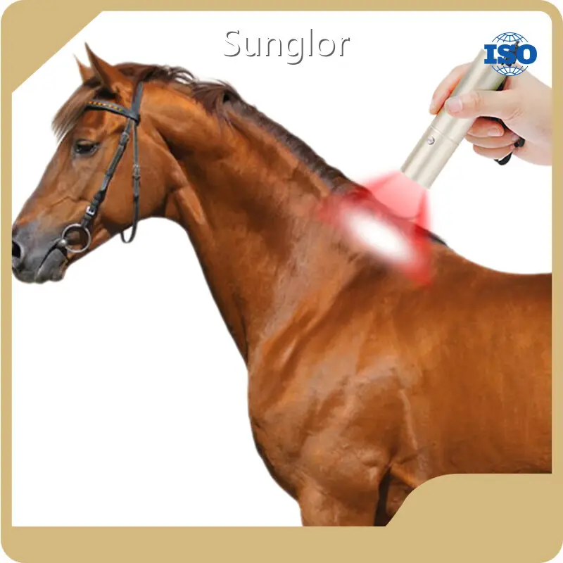 Infrared Light Therapy for Dogs D30*130mm Wholesale - Sunglor 1