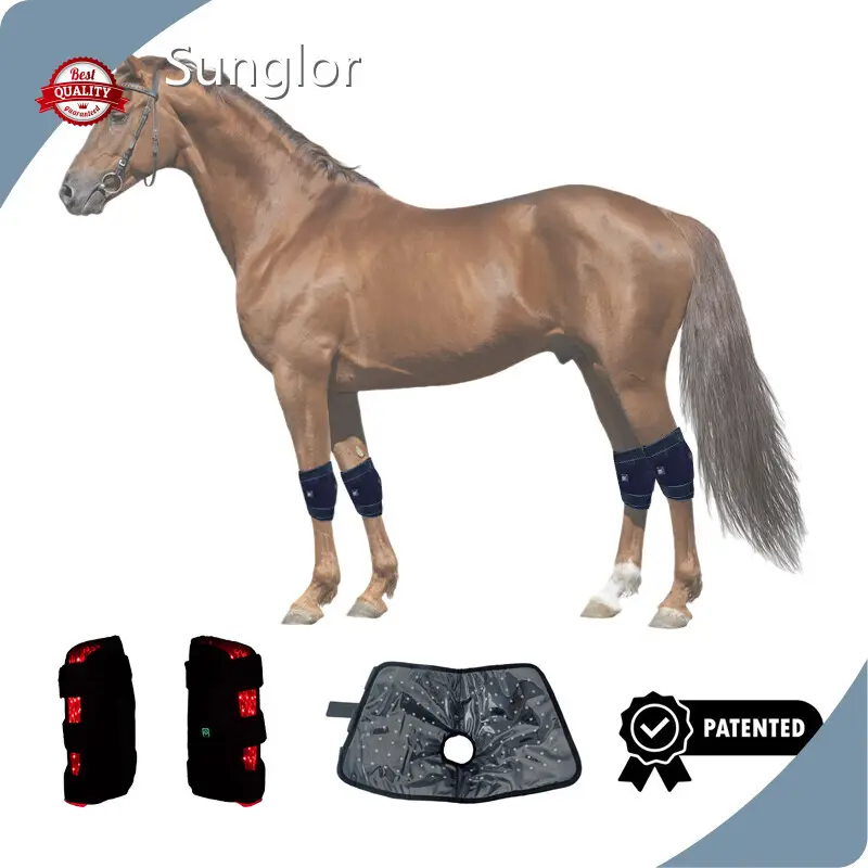 High End Infrared Light Therapy for Dogs High safety Company 1