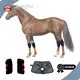 High End Infrared Light Therapy for Dogs High safety Company 1