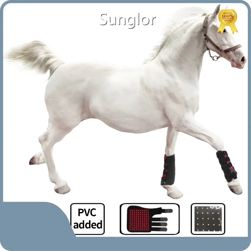 Factory Price Light Therapy for Horses Light Therapy for Horses Company 1