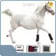Factory Price Light Therapy for Horses Light Therapy for Horses Company 1