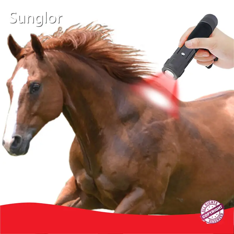 Practicalbest Red Light Therapy for Dogs for Wholesale Aluminium 3-7 Working Days 1