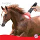 Practicalbest Red Light Therapy for Dogs for Wholesale Aluminium 3-7 Working Days 1