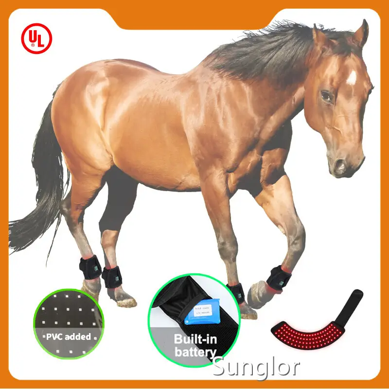 Infrared Light Therapy for Cats Company for WholesaleBlack 1
