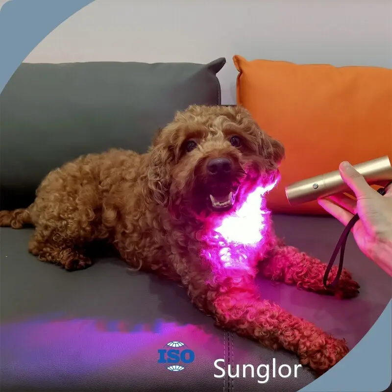 Sunglor Red Light Therapy Cats Gold with Custom Services 1
